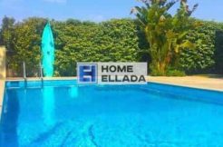 Real estate for rent in Lagonisi with swimming pool, by the sea